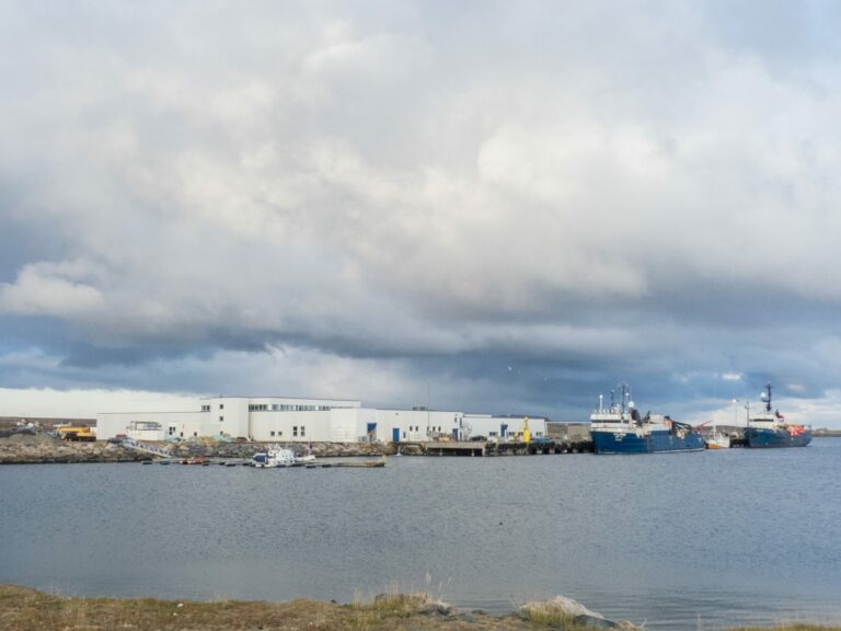 MER AKTIVITET I HAVNENE: Det er økende aktivitet i alle havner i Vardø kommune, og verdiskapningen gir store ringvirkninger til samfunnet, både lokalt, regionalt og nasjonalt. Foto: Dan Tore Jørgensen